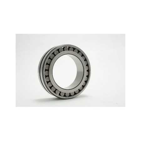 Cylindrical Roller Bearing, NNU4922KMS P5